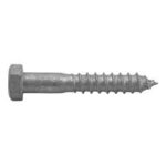 COACH SCREW